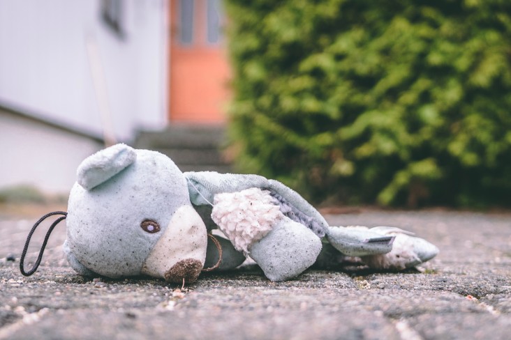 Teddy on ground