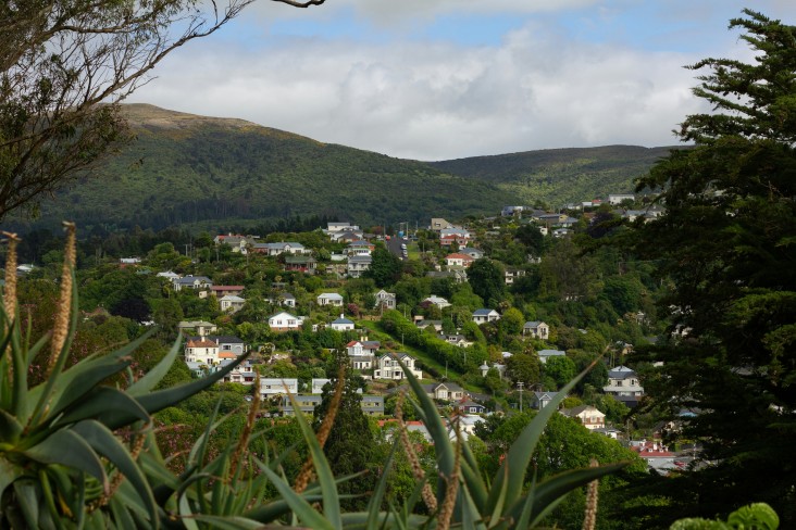 NZ Scenery
